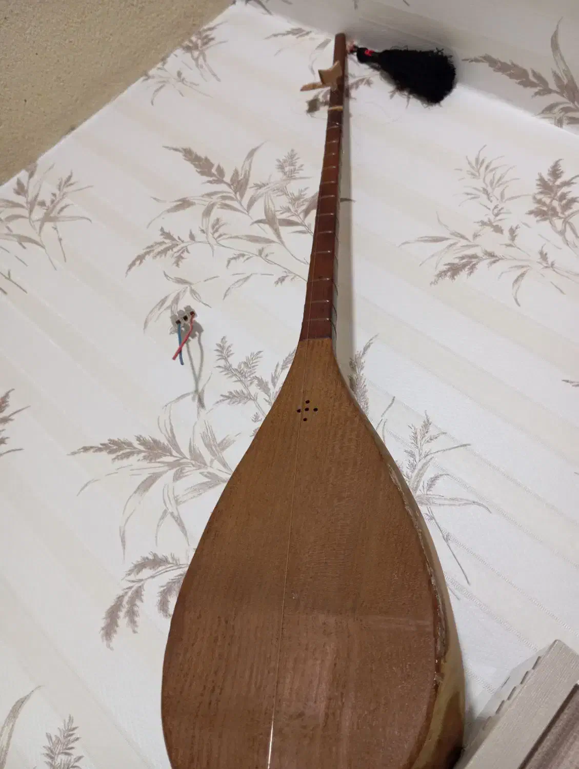 ساز دوتار سالم میباشد|سازهای سنتی|گلبهار, شهر جدید گلبهار|دیوار