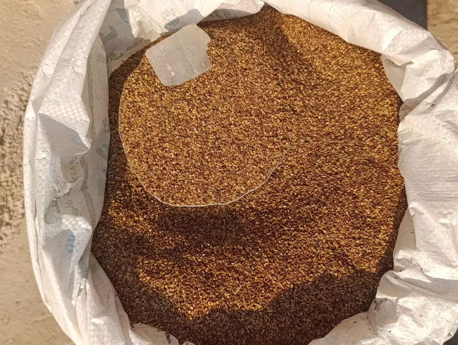 کنجد تازه بوجاری شده|خوردنی و آشامیدنی|وحدتیه, |دیوار