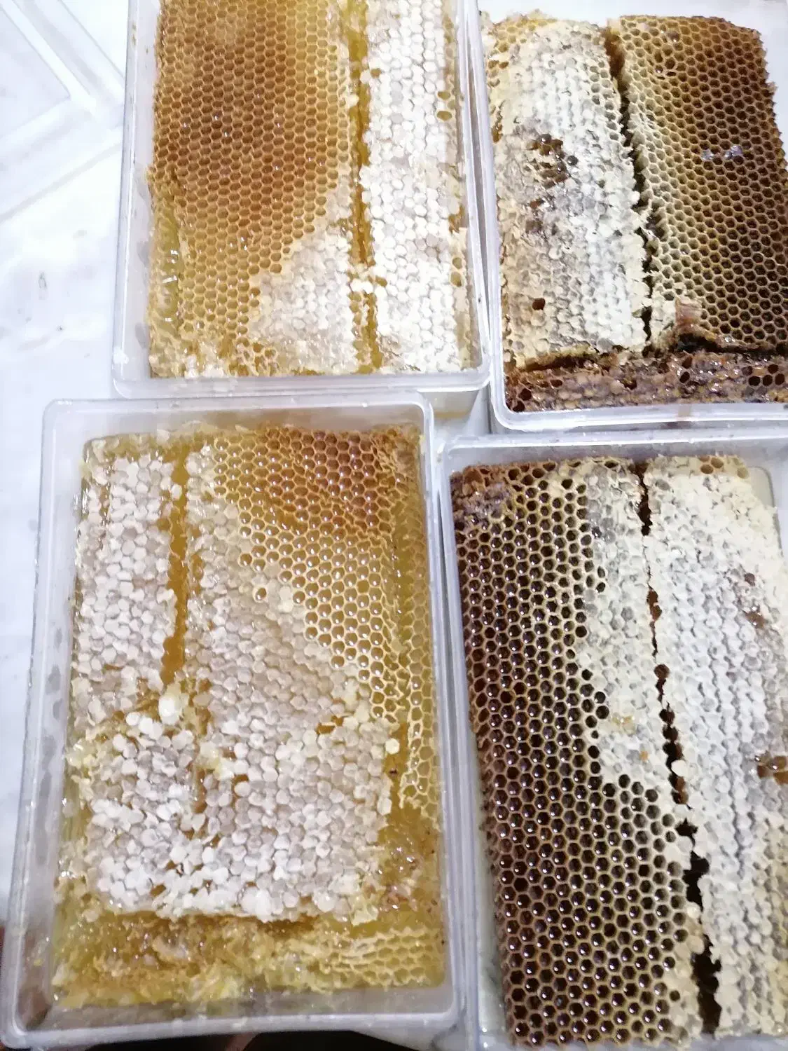 عسل صدرصد طبیعی|خوردنی و آشامیدنی|اشنویه, |دیوار