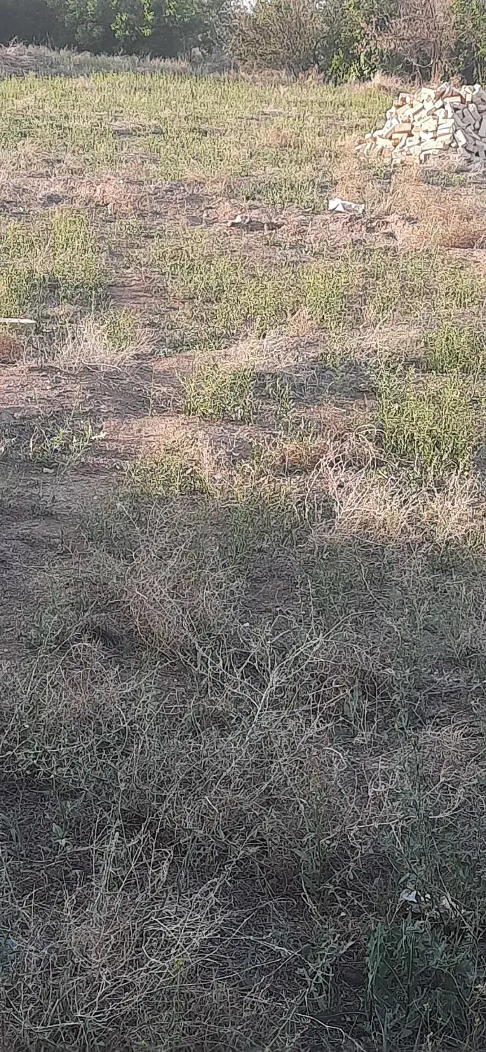 زمین کشاورزی در روستای جنت آباد باکاربری باغ|فروش زمین و ملک کلنگی|قنوات, |دیوار