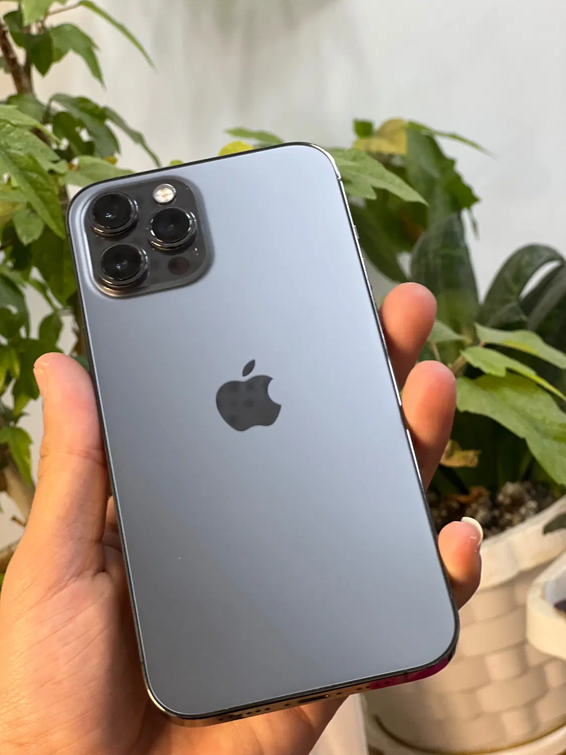 iphone 12 pro max|موبایل|اشنویه, |دیوار