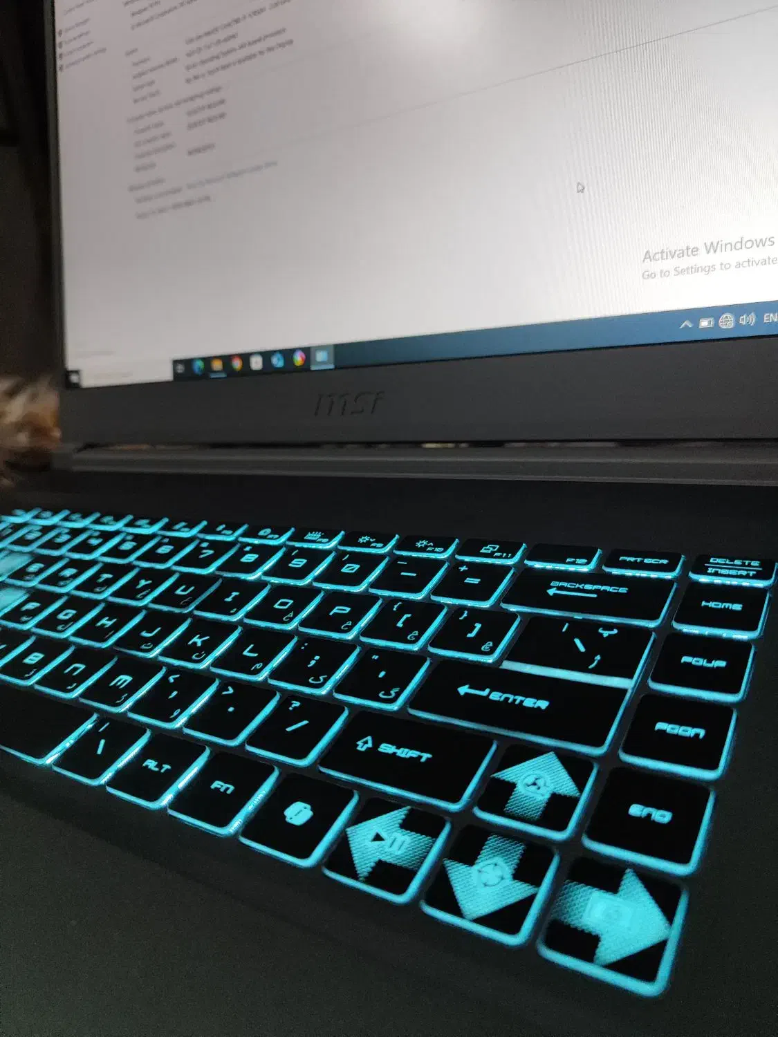 لپ تاپ گیمینگ MSI Thin 15 B12UCX مخصوص رندرینگ|رایانه همراه|تنکمان, |دیوار