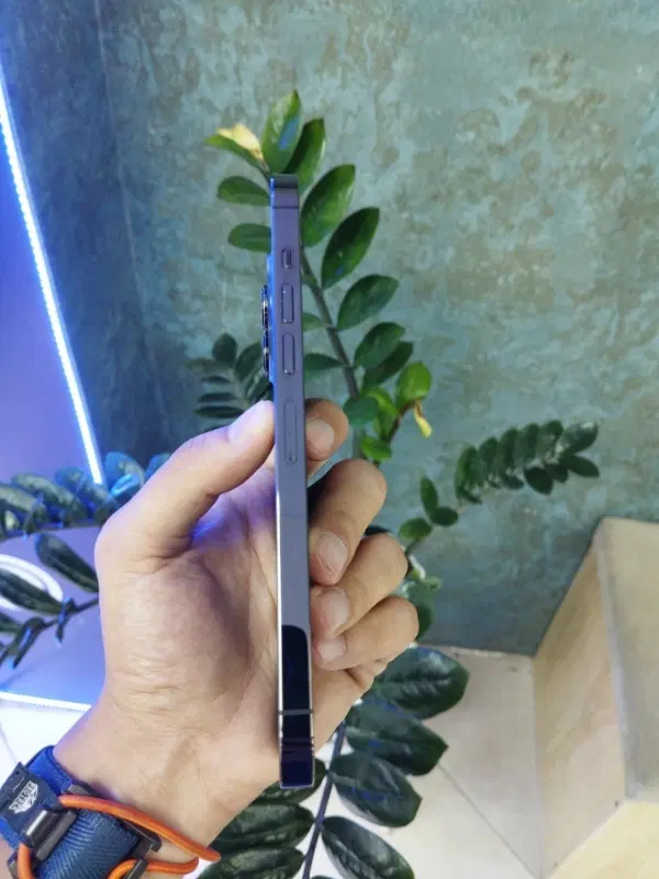 iphone13promax/256GB/ZAA|موبایل|کرج, اصفهانیها|دیوار