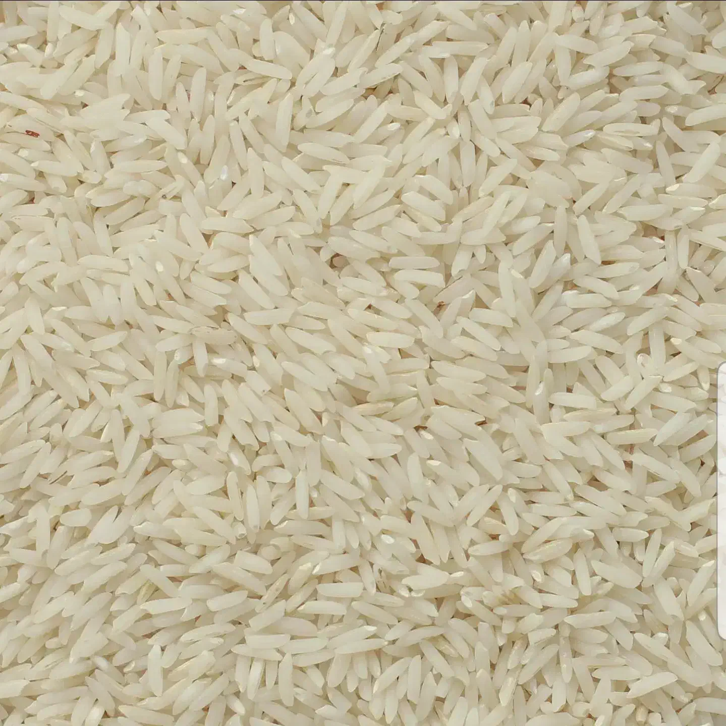 برنج هاشمی خوش عطر و طعم سورتینگ شده دو الکه|خوردنی و آشامیدنی|لنگرود, |دیوار