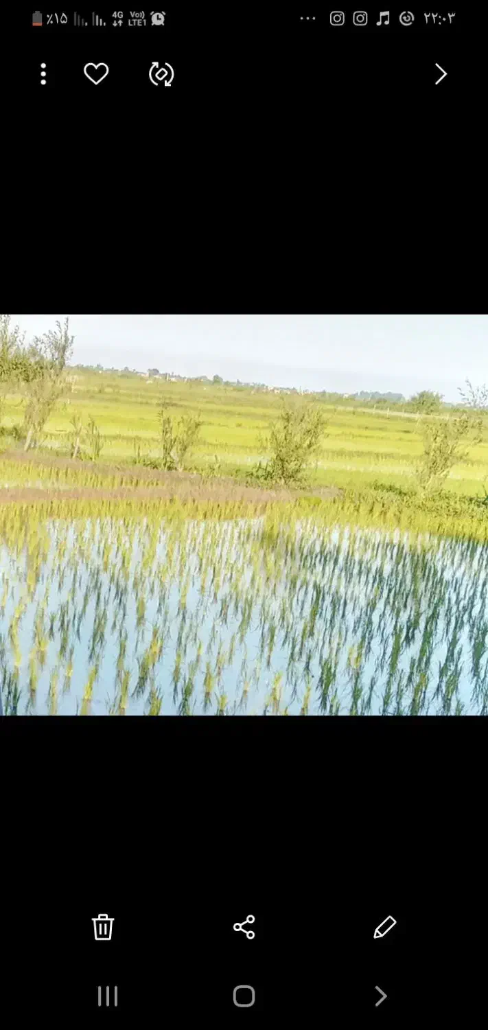 زمین مزروعی سند دار|فروش دفتر صنعتی، کشاورزی، تجاری|تالش, جوکندان|دیوار