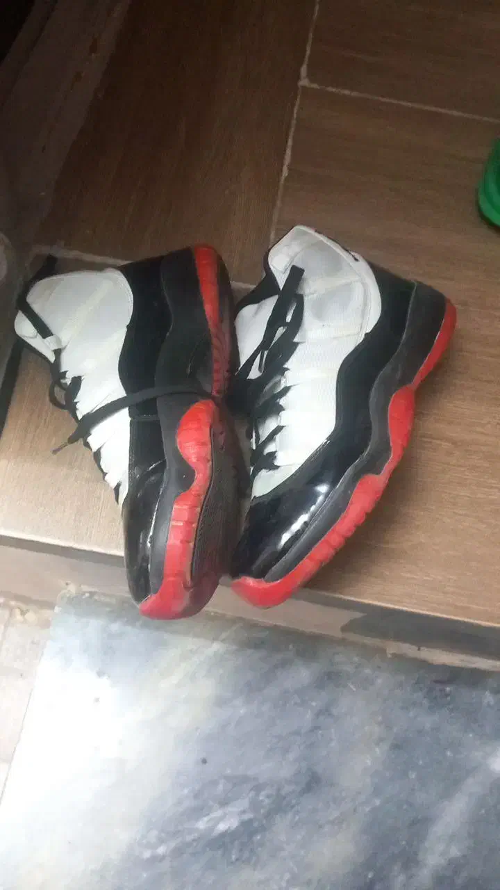 کفش|کیف، کفش، کمربند|گرگان, |دیوار