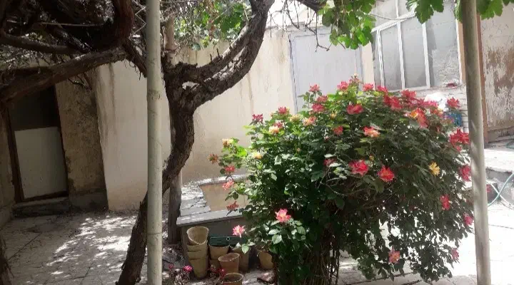 فروش ویلایی ۲۰۰ متر جنوبی بهترین فرعی عارف|فروش خانه و ویلا|شاهین‌شهر, فیض|دیوار