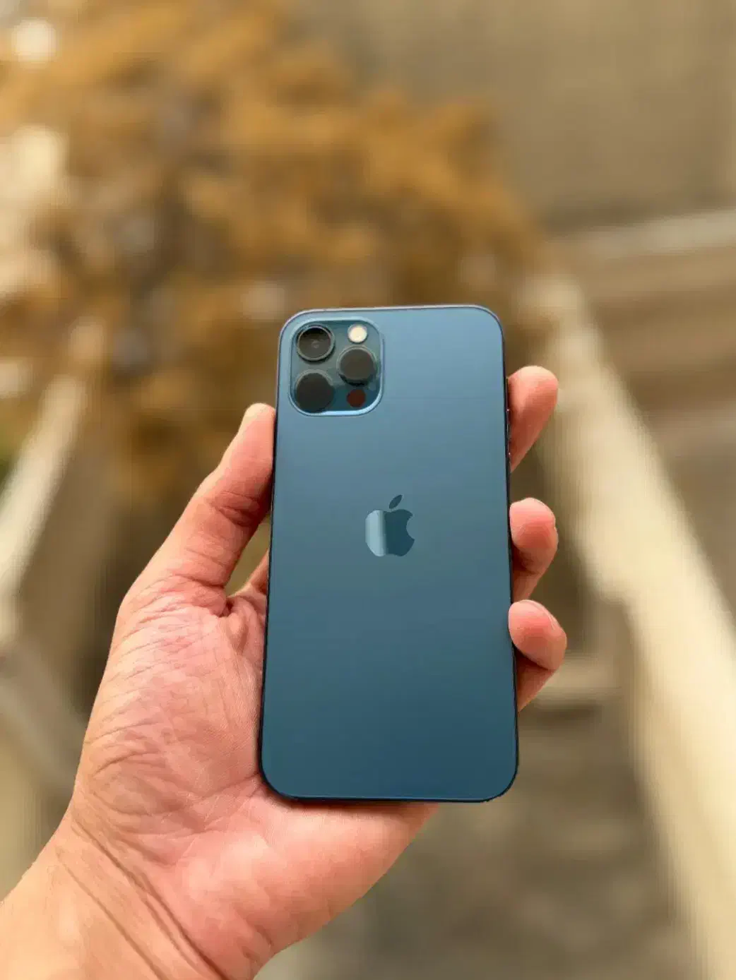 اپل 12pro پک اصلی 256g|موبایل|قزوین, |دیوار