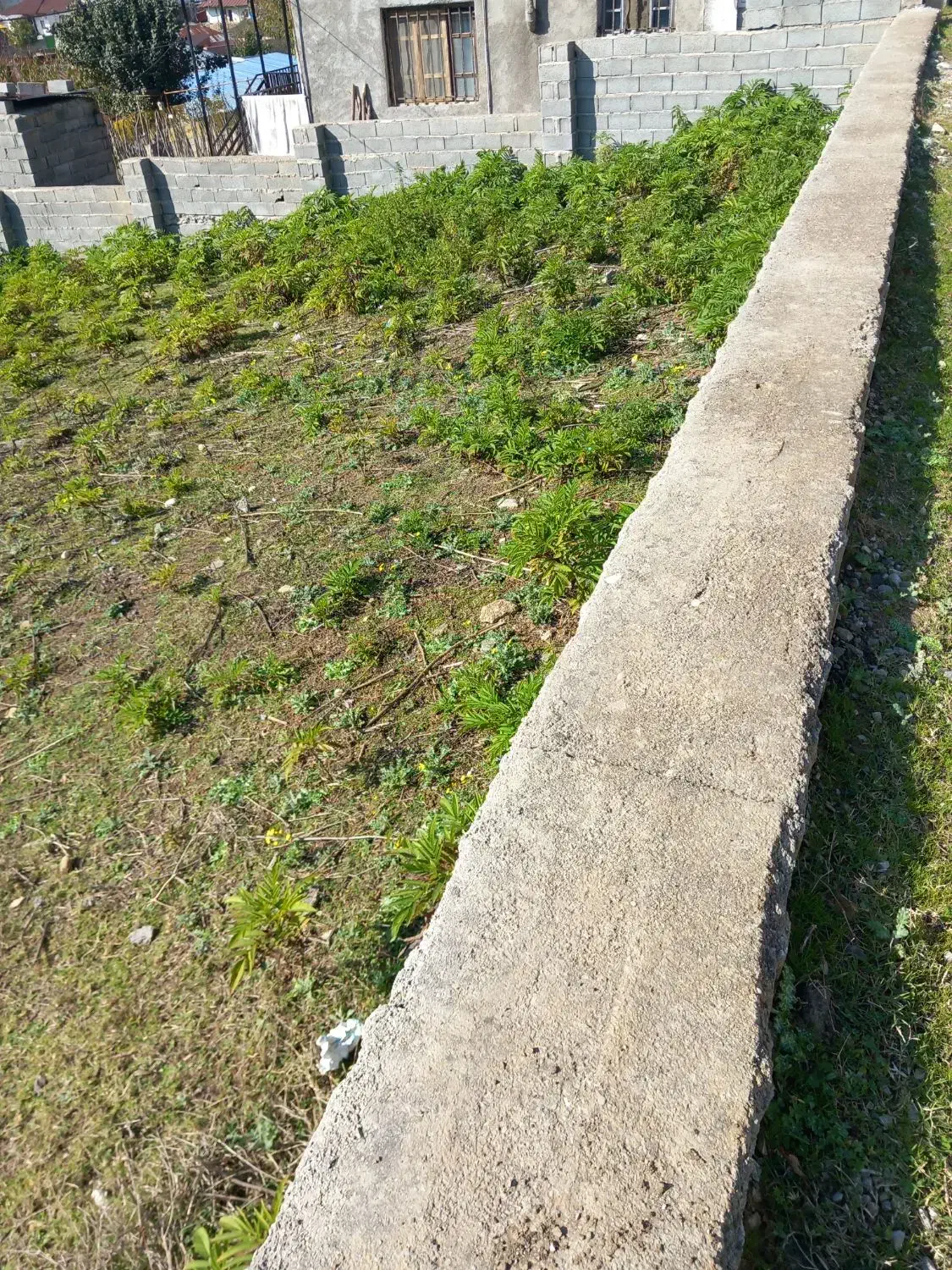 ملک در روستا|فروش زمین و ملک کلنگی|زیرآب, |دیوار