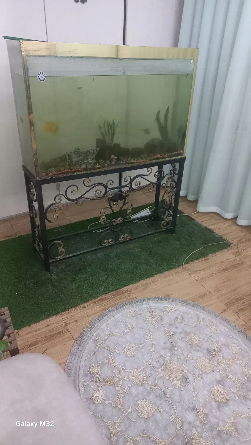 آکواریوم ۱متر در ۱،۳۰|ماهی|محمدشهر, همایون ویلا|دیوار