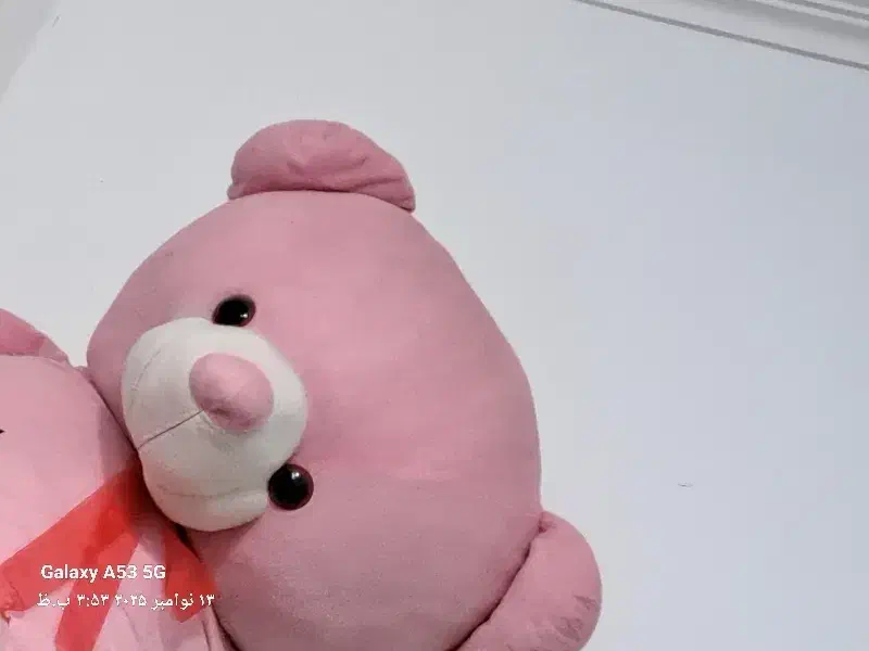 خرس دو متری|اسباببازی|بم, |دیوار