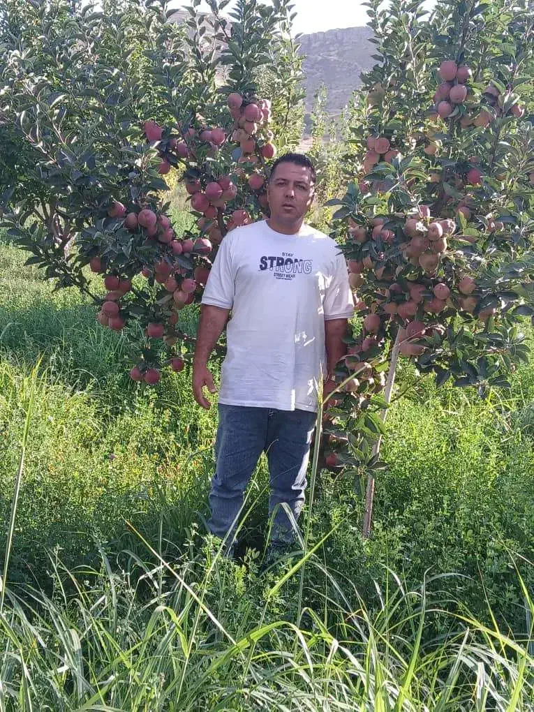 باغبانی مهندس قربانی|خدمات باغبانی و درختکاری|شهریار, فرارت|دیوار