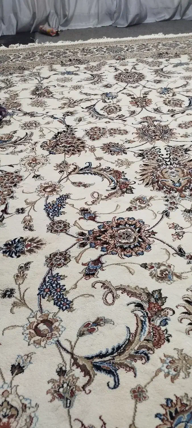 قالی ۱۲ متری   فروش فوری|فرش|تربت جام, معدآباد|دیوار