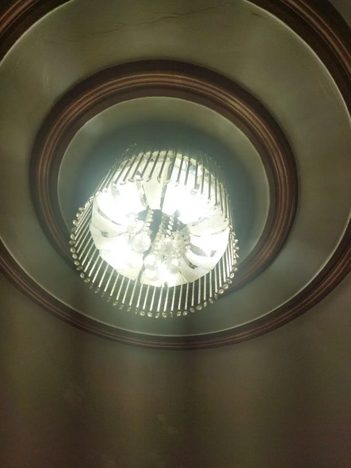 دو شاخه لوستر|لوستر و چراغ آویز|کرج, باغستان|دیوار