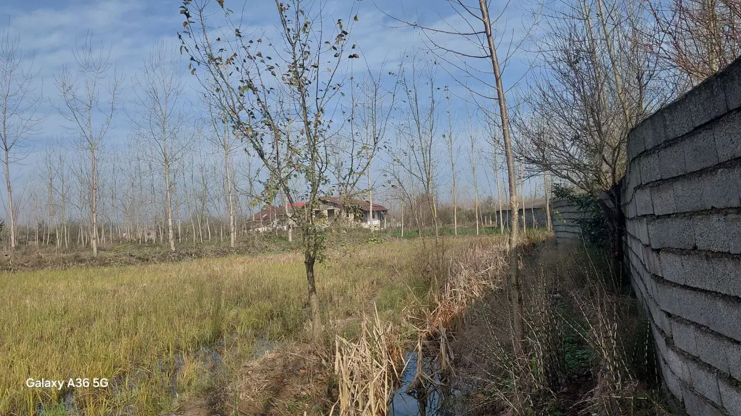 فروش زمین باغی|فروش زمین و ملک کلنگی|لاهیجان, لیالستان|دیوار