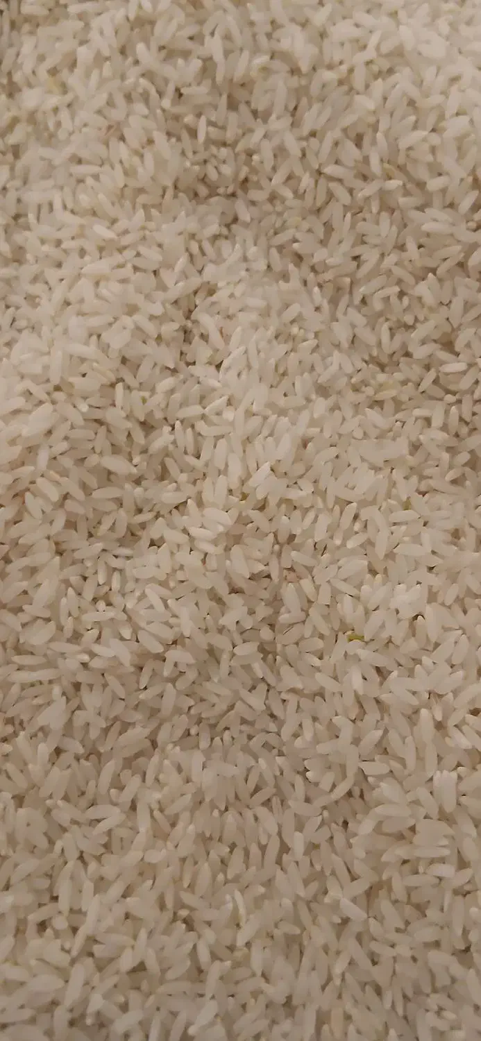 برنج انبربو|خوردنی و آشامیدنی|بدره, |دیوار