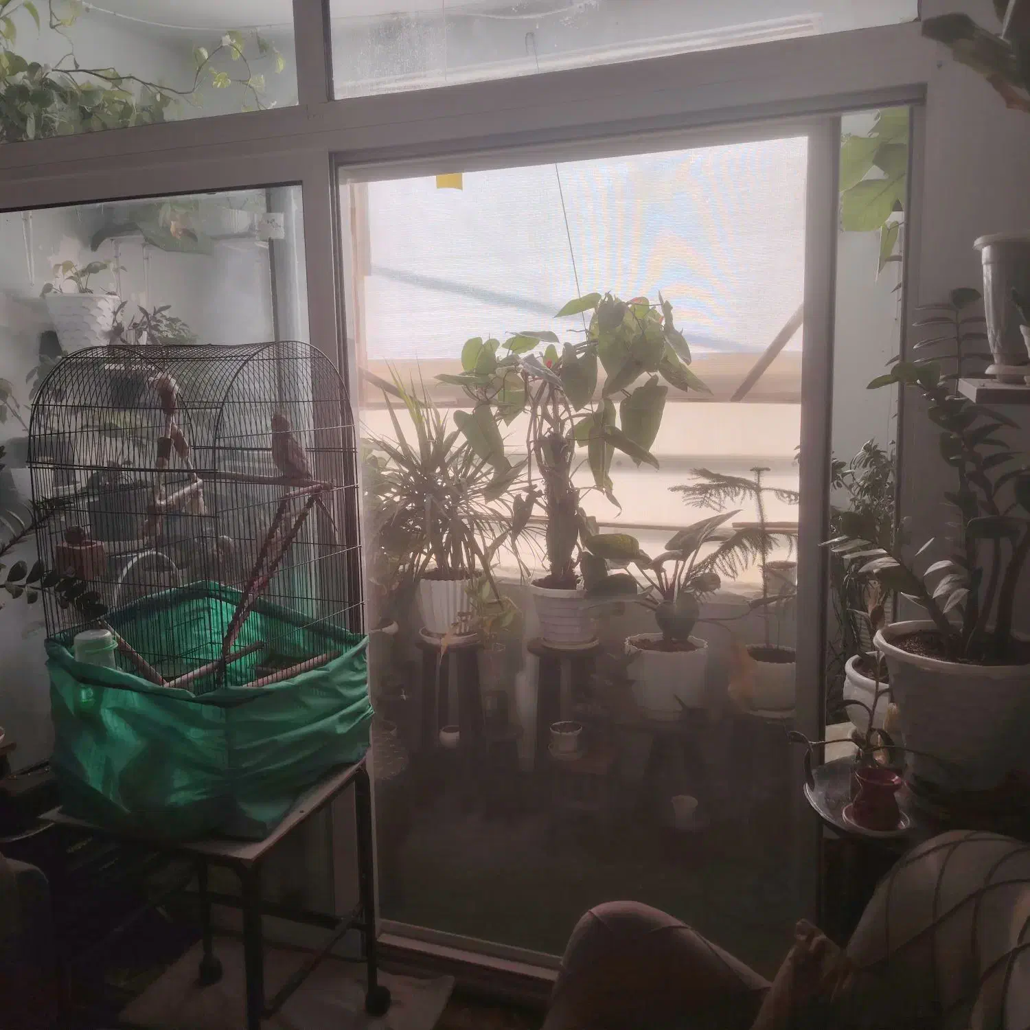 یک طبقه از دو طبقه خیابان ارشاد اول|فروش خانه و ویلا|شهرضا, |دیوار