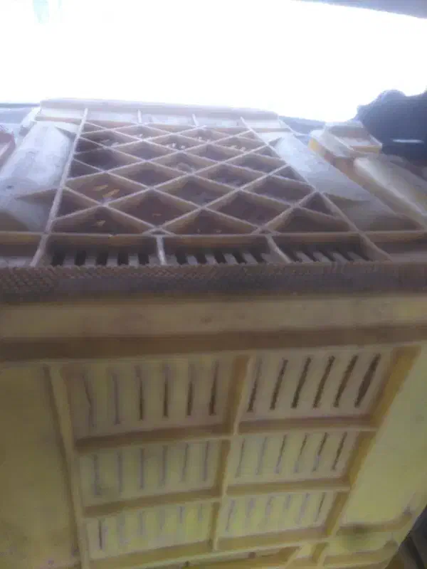 سبد|ظروف نگهدارنده، پلاستیکی، یکبارمصرف|مشهد, استاد یوسفی (شهرک غرب)|دیوار