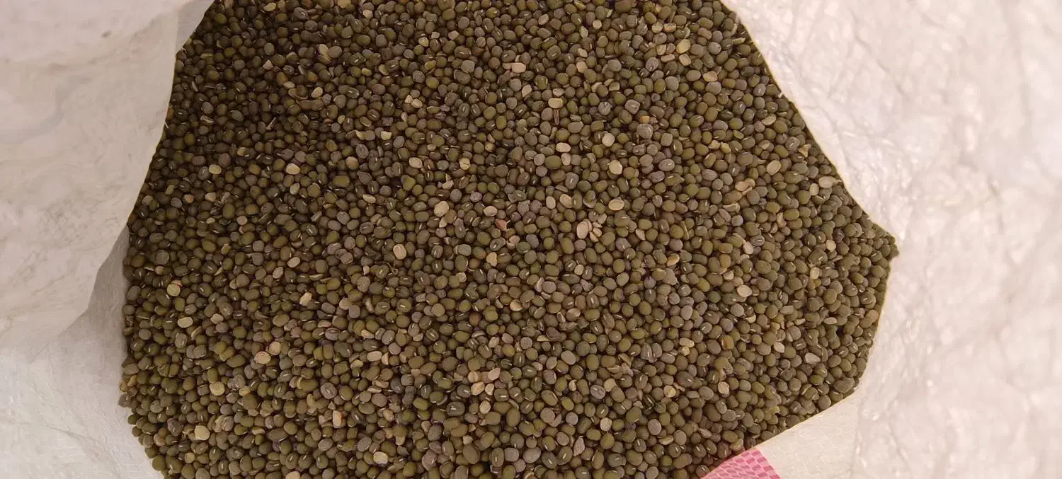 ماش درجه یک|خوردنی و آشامیدنی|حمیدیه, |دیوار