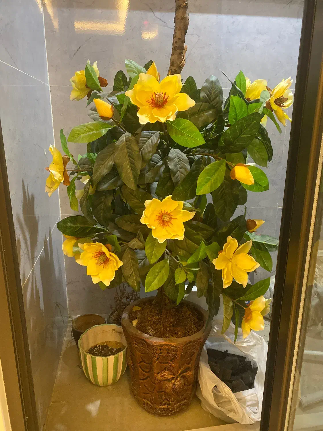 گل مصنوعی|گل مصنوعی|ارومیه, |دیوار