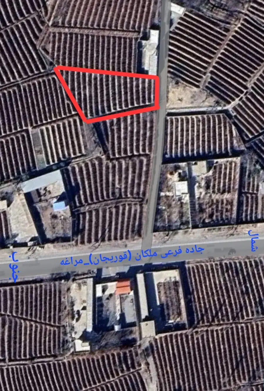 10 من باغ انگور|فروش زمین و ملک کلنگی|ملکان, |دیوار