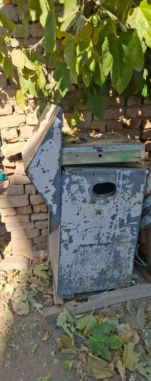 پرکَن مرغ|ماشین‌آلات صنعتی|گلپایگان, |دیوار