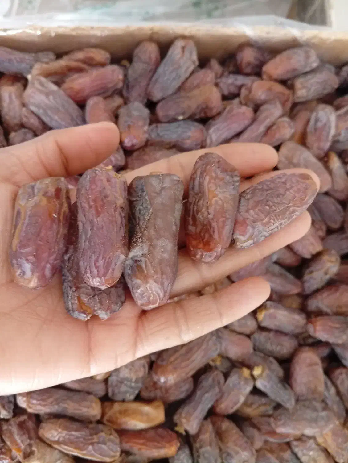 خرما پیارم پوسته|خوردنی و آشامیدنی|حاجی آباد, |دیوار