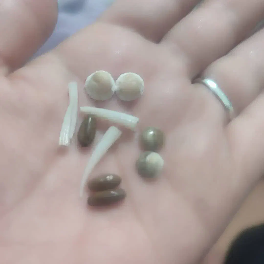 مهره|بدلیجات|دزفول, |دیوار