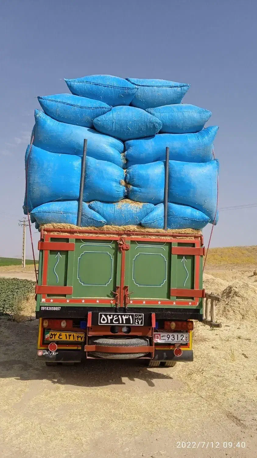 فروش کاه سفید|خدمات باغبانی و درختکاری|گلپایگان, |دیوار