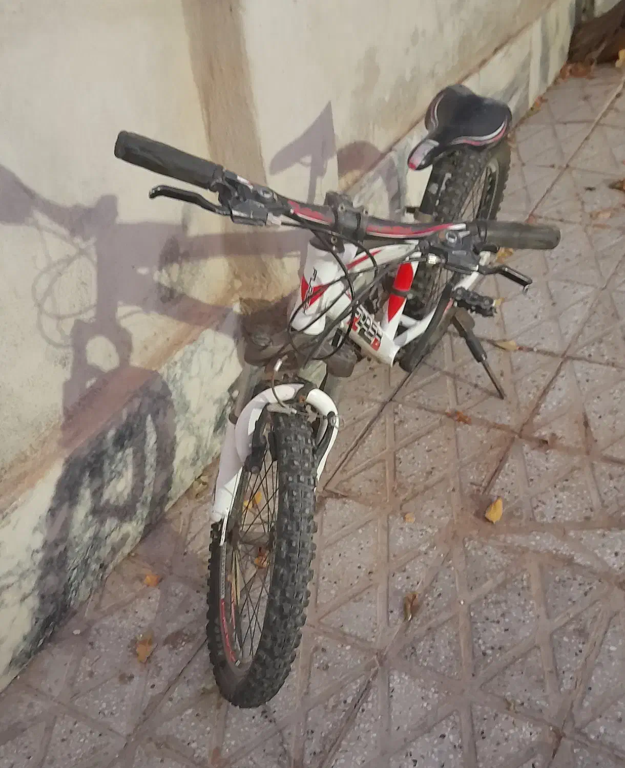 دوچرخه ۲۰حرفه ای برند فلش|دوچرخه، اسکیت، اسکوتر|تربت‌حیدریه, بوستان باغ ملی|دیوار