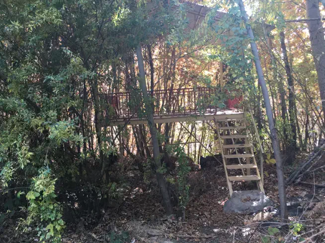 باغ|فروش زمین و ملک کلنگی|طالقان, |دیوار