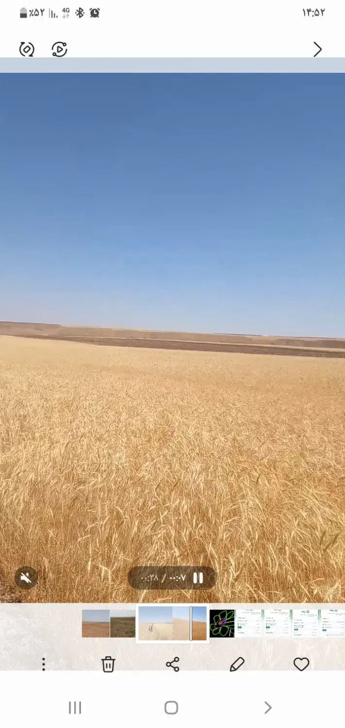 فروش زمین کشاورزی ۱۵ هکتاری|فروش دفتر صنعتی، کشاورزی، تجاری|آوج, |دیوار