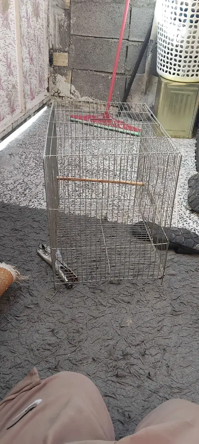 قفس درحدنو مناسب برای تمامی پرنده ها قیمت۲۴۰|لوازم جانبی حیوانات|دوگنبدان, |دیوار