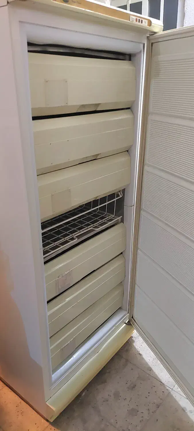 فریزر|یخچال و فریزر|تهران, گیشا|دیوار