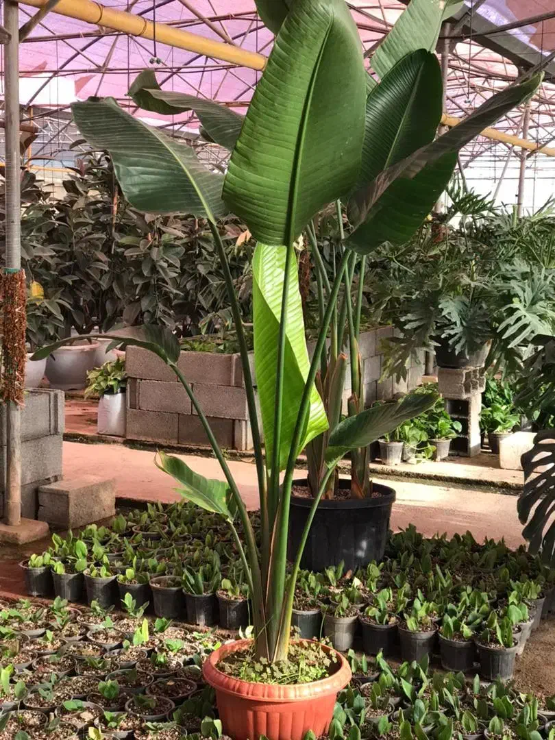 راهنمایی کار|فعالیت داوطلبانه|مشهد, ابوذر|دیوار