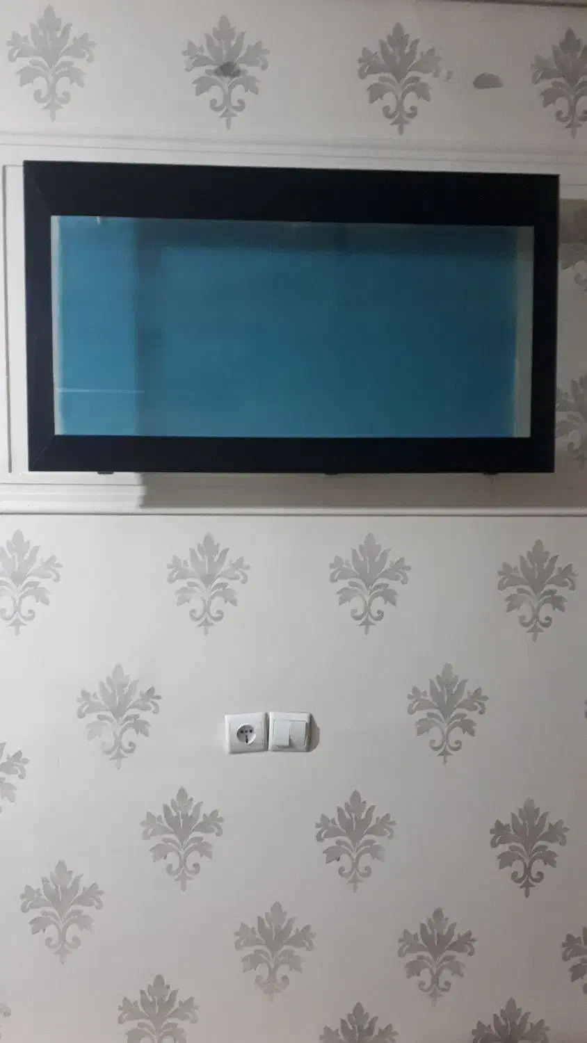 آکواریم دیواری|ماهی|محمدیه-قزوین, |دیوار