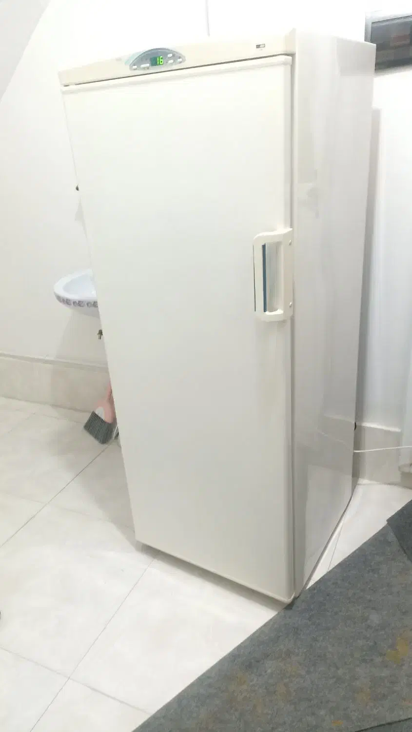 یخچال فریزر سالم زمانتی|یخچال و فریزر|سنندج, |دیوار