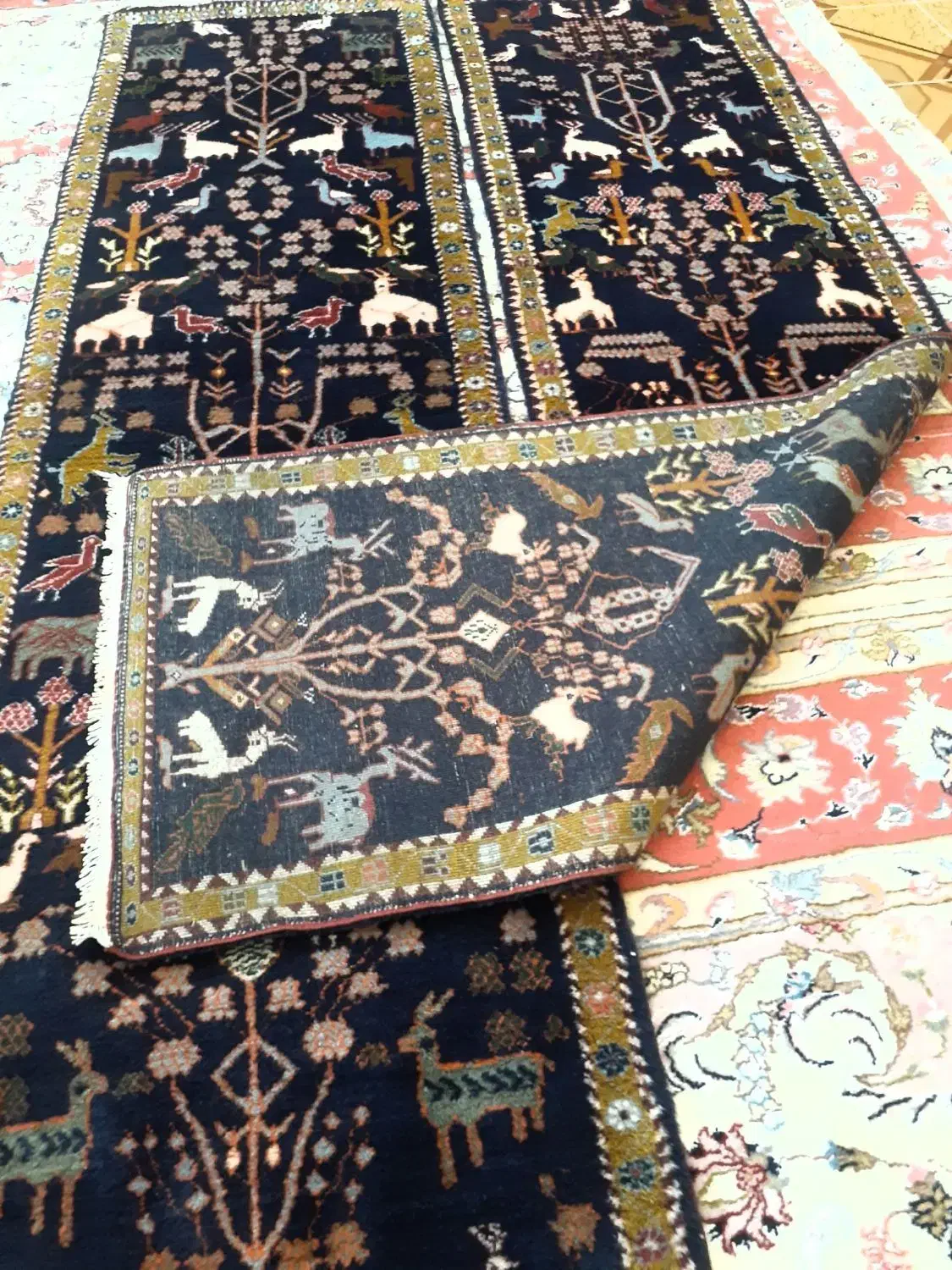 کناره اردبیل|فرش|اردبیل, |دیوار