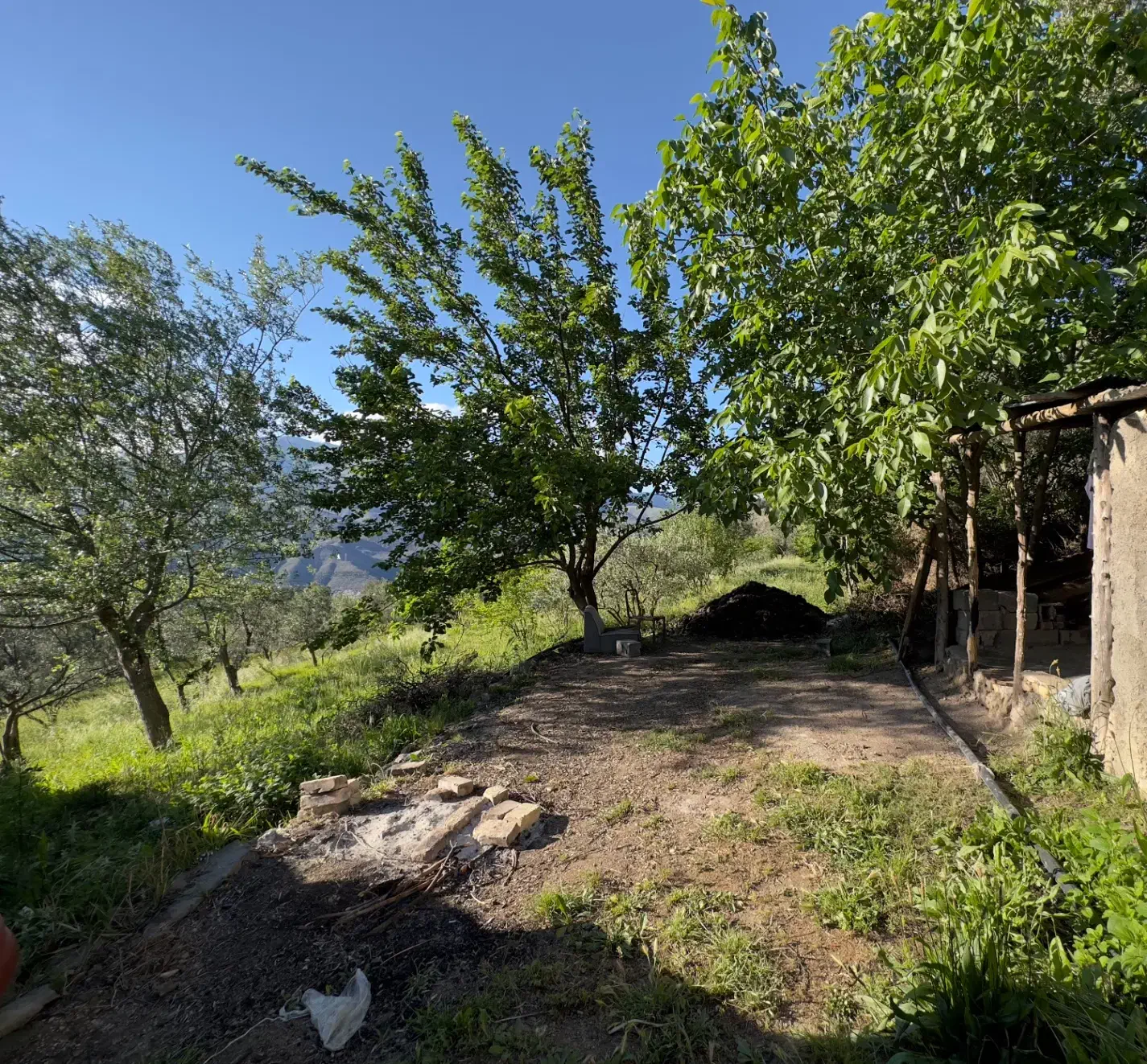 زمین به متراژ ۳۳۰۰ متر برای ساخت باغ ویلا|فروش زمین و ملک کلنگی|رودبار, |دیوار