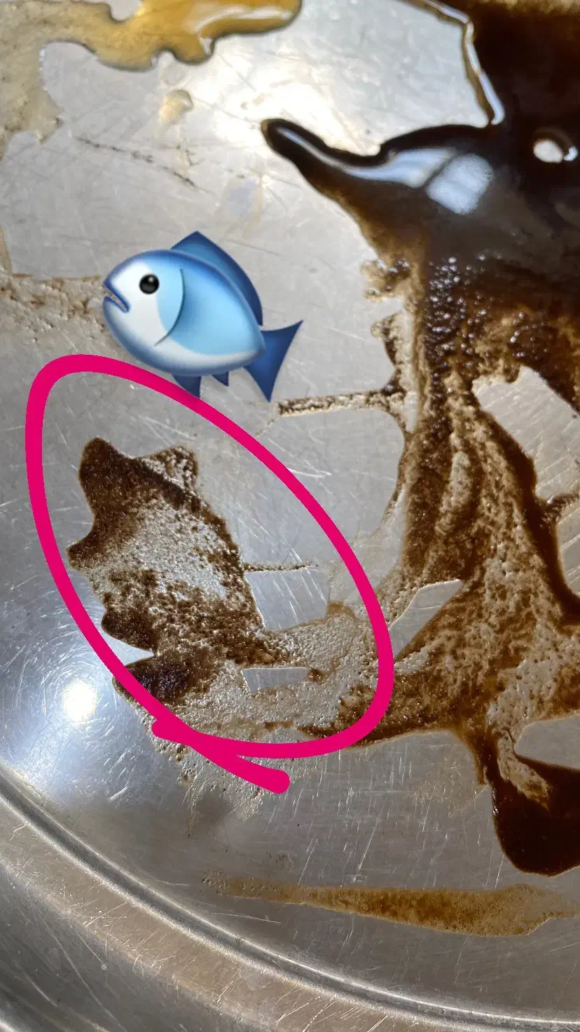 پیشگویی قهوه و تاروت|خدمات پذیرایی، مراسم|کهریزک, |دیوار