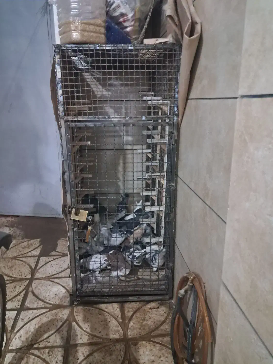 قفس کفتر|لوازم جانبی حیوانات|نیشابور, بنیاد شهید|دیوار