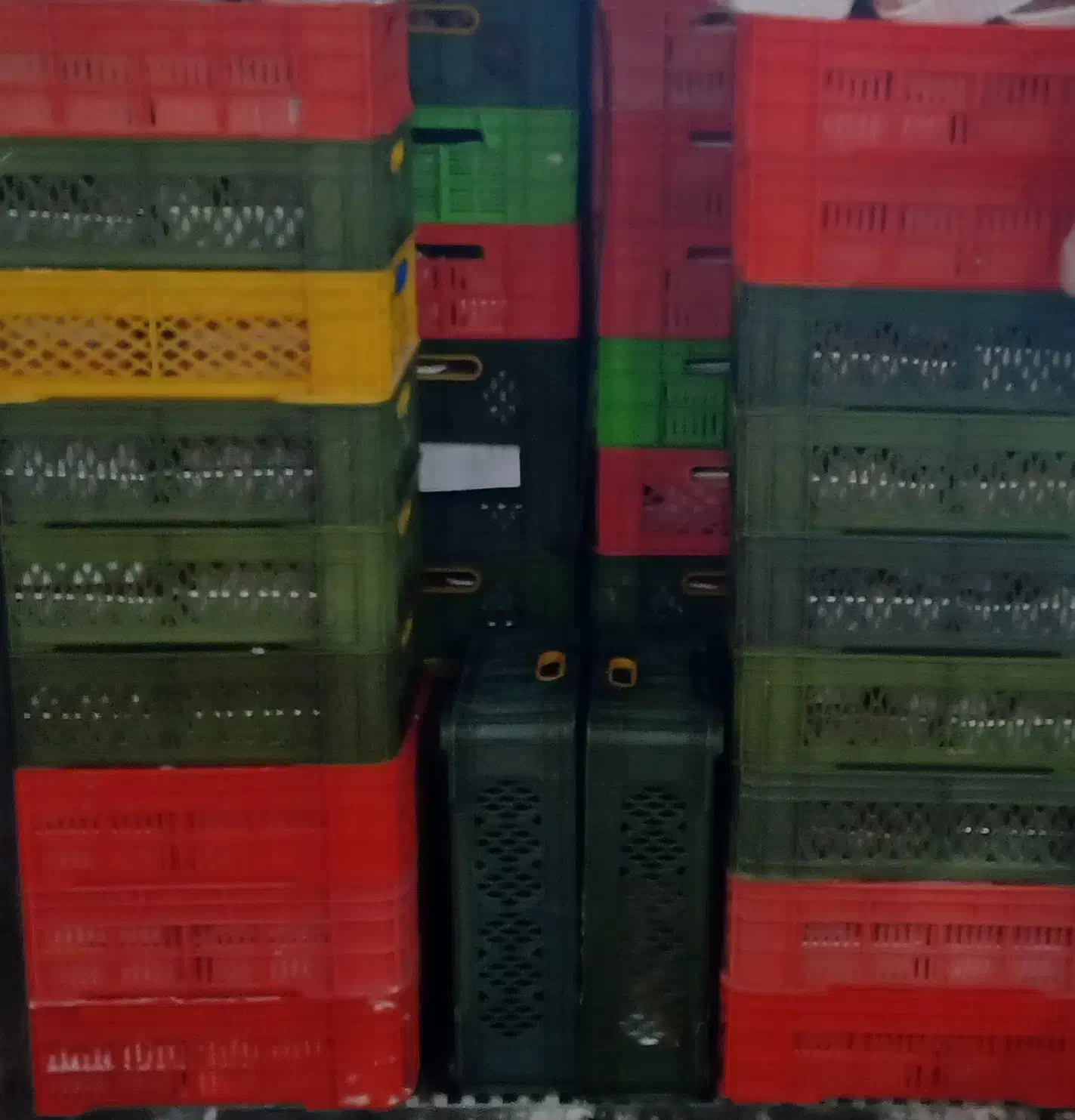 سبد مرغ و بشقابی|فروشگاه و مغازه|اندیشه, شهرک صدف|دیوار