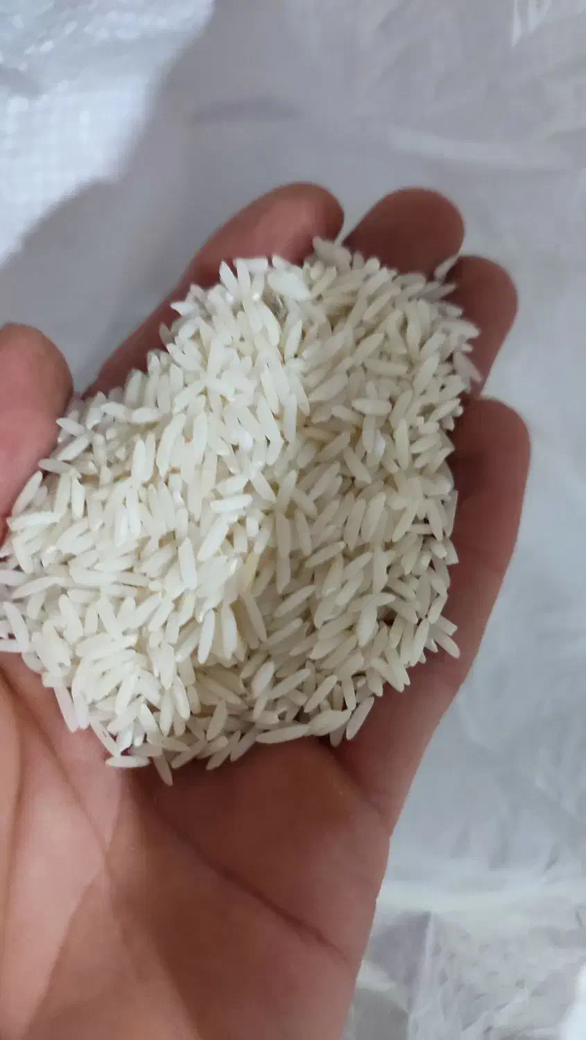 برنج هاشمی سالم|خوردنی و آشامیدنی|لاهیجان, لیالستان|دیوار