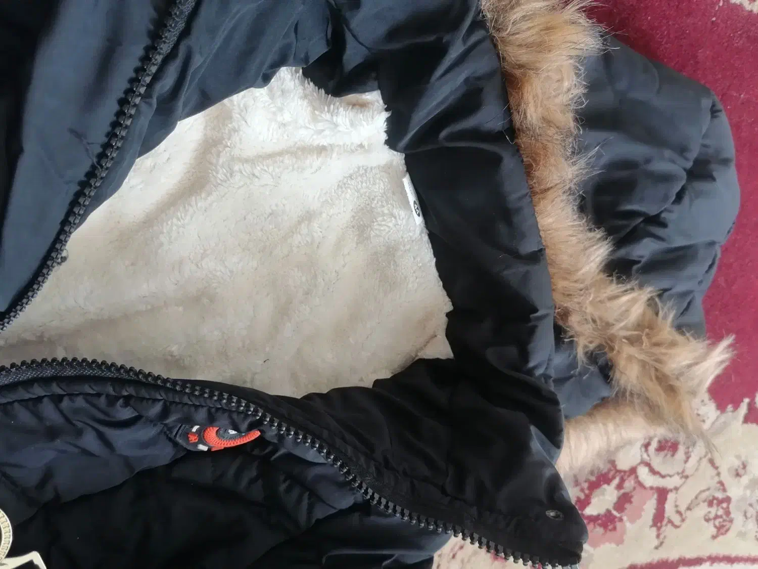 کاپشن نو نو|لباس|بندرعباس, |دیوار