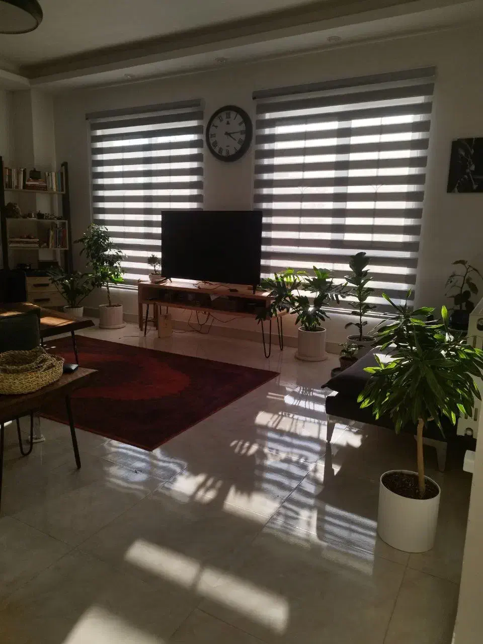 ۳ عدد پرده زبرا باهم ۵ تومن|پرده، رانر، رومیزی|رشت, جهاد|دیوار