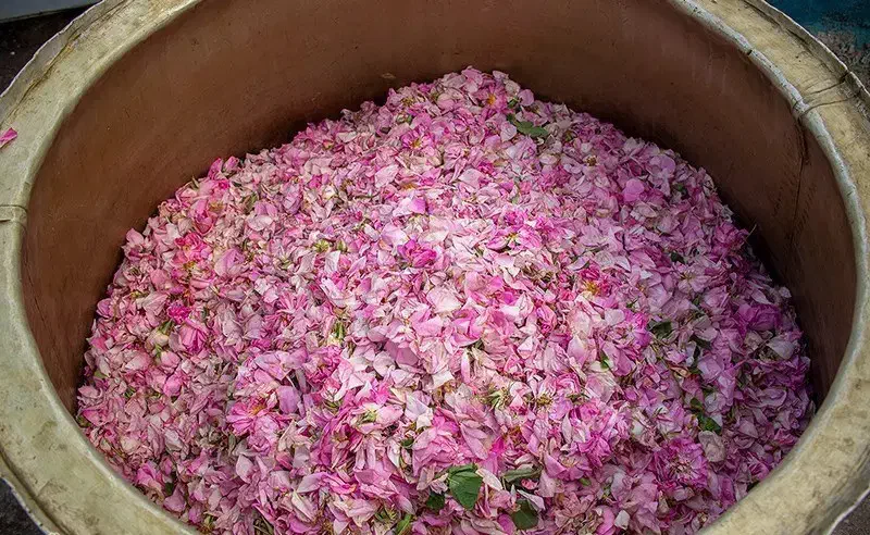 گلاب ناب لایزنگان|خوردنی و آشامیدنی|داراب, |دیوار