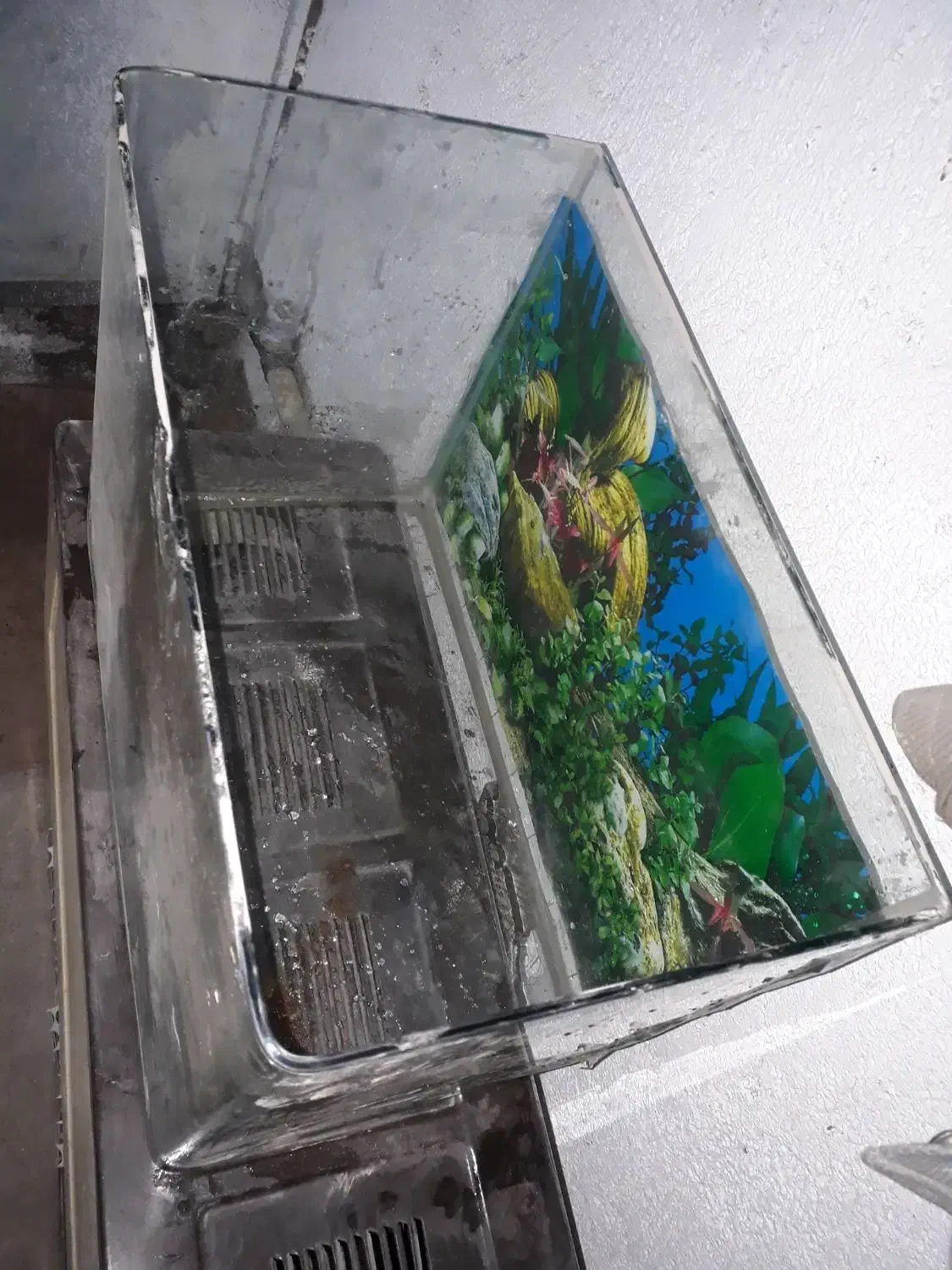 آکواریوم شیشه خم|ماهی|سبزوار, شهرک صنعتی فرودگاه|دیوار
