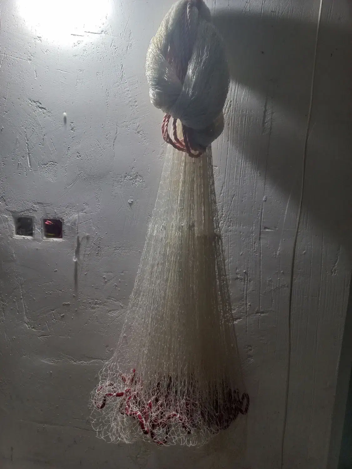 تور ماهیگیری نوع|ماهیگیری|رودسر, |دیوار