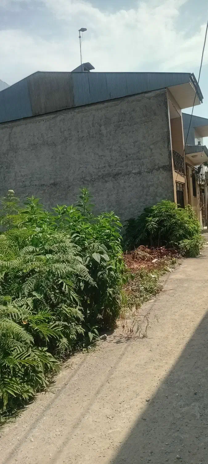 ۶۰ متر خرسندی|فروش زمین و ملک کلنگی|رشت, خرسندی|دیوار