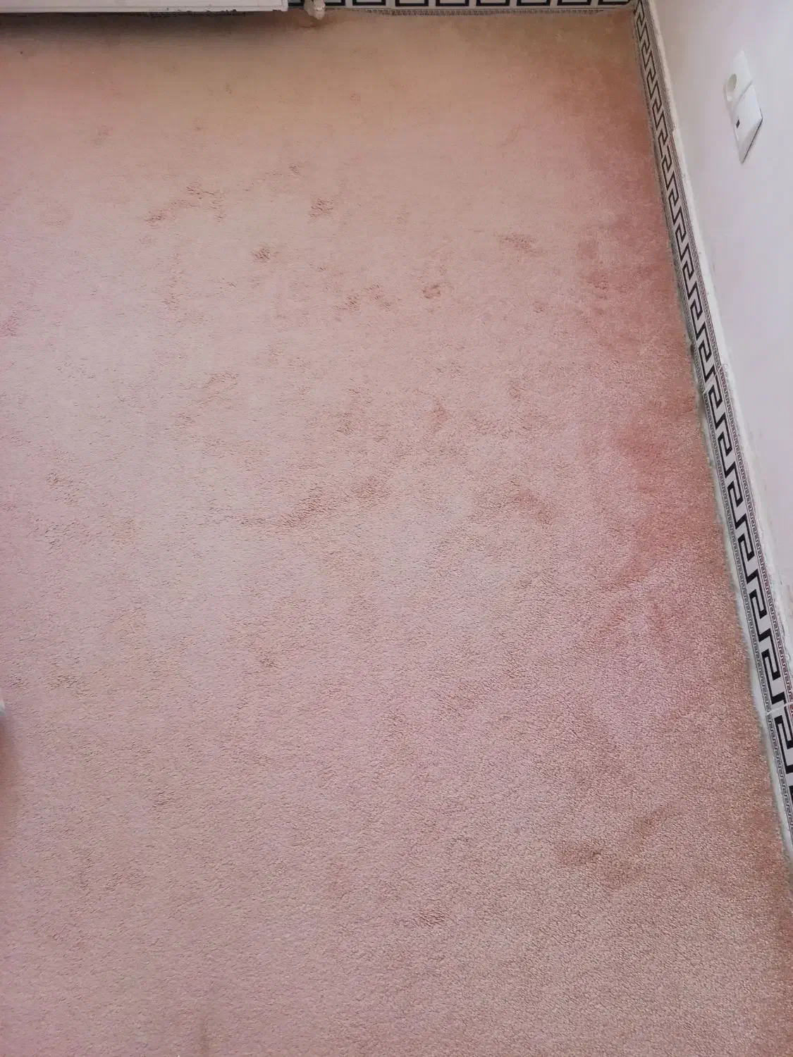 موکت پالاز پالاز موکت پرز بلند|موکت|تهران, تهرانسر مرکزی|دیوار